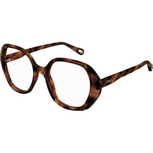 Chloe CH0053O 005 ONE SIZE (51) Havana Férfi Dioptriás szemüvegek