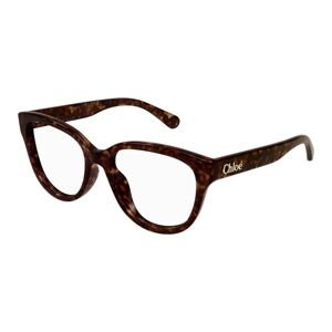 Chloe CH0243O 006 ONE SIZE (53) Havana Férfi Dioptriás szemüvegek